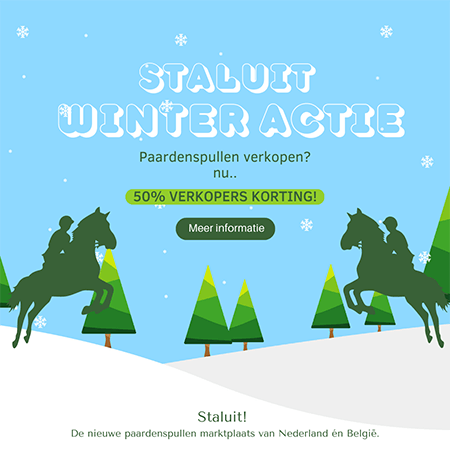 Staluit-winteractie