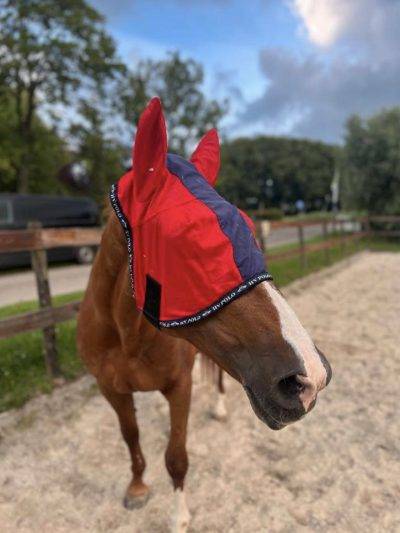 HV Polo vliegenmasker