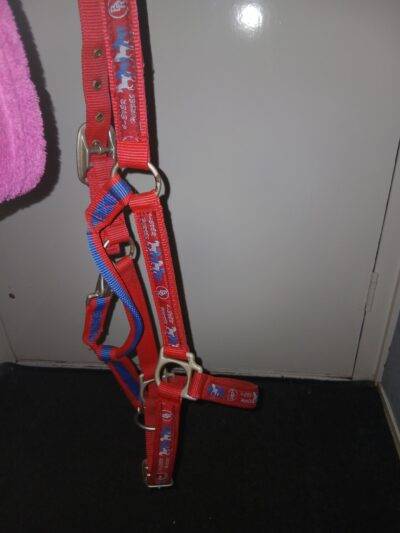 Halster merk BR, maat Cob, prijs bespreekbaar