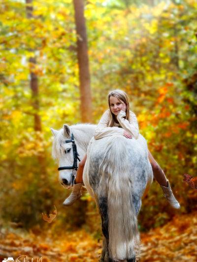 Paarden- en hondenfotograaf