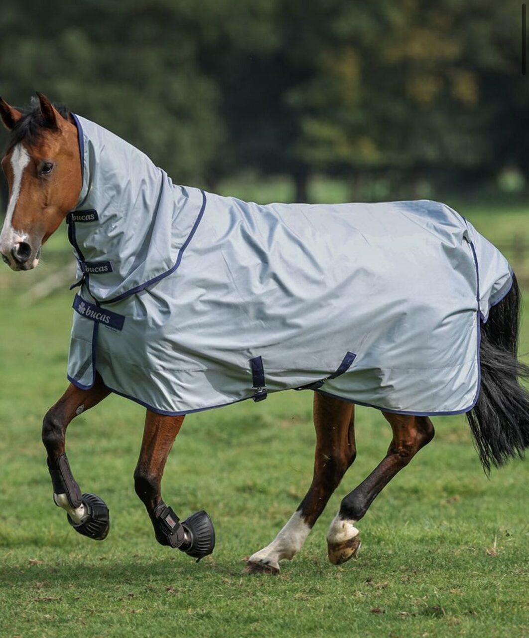 Bucas Power Turnout Light (145/198) + Halsstuk te koop